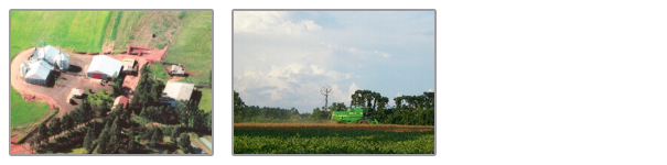 解体待ちの車両