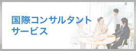 国際コンサルタントサービス